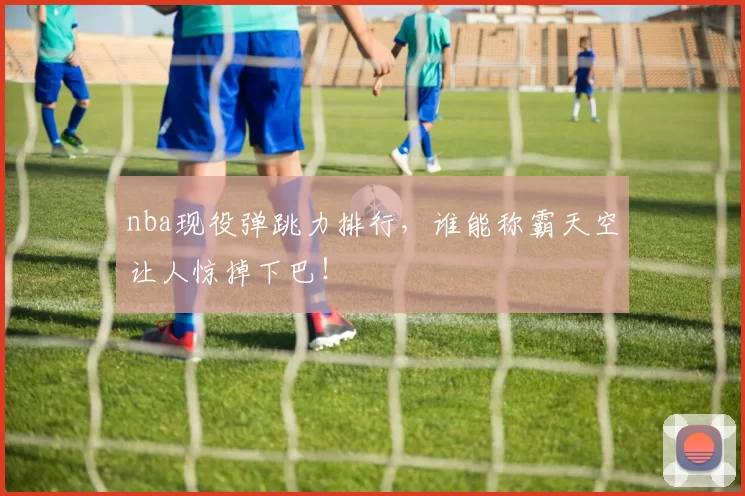 nba现役弹跳力排行，谁能称霸天空让人惊掉下巴！