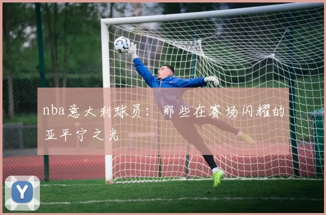 nba意大利球员：那些在赛场闪耀的亚平宁之光