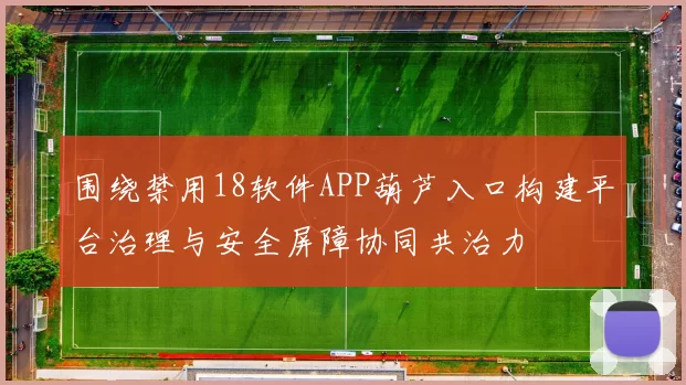 围绕禁用18软件APP葫芦入口构建平台治理与安全屏障协同共治力