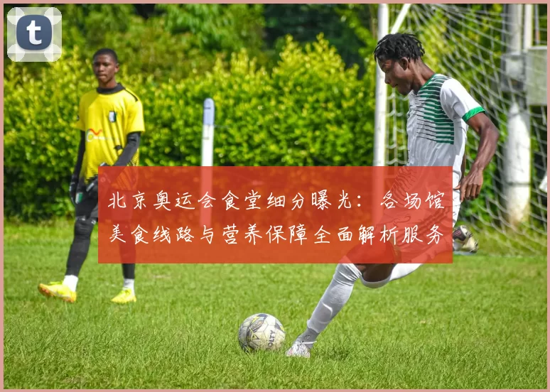 北京奥运会食堂细分曝光：各场馆美食线路与营养保障全面解析服务