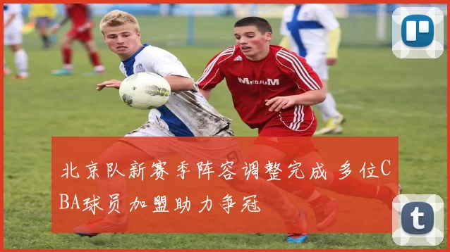 北京队新赛季阵容调整完成 多位CBA球员加盟助力争冠