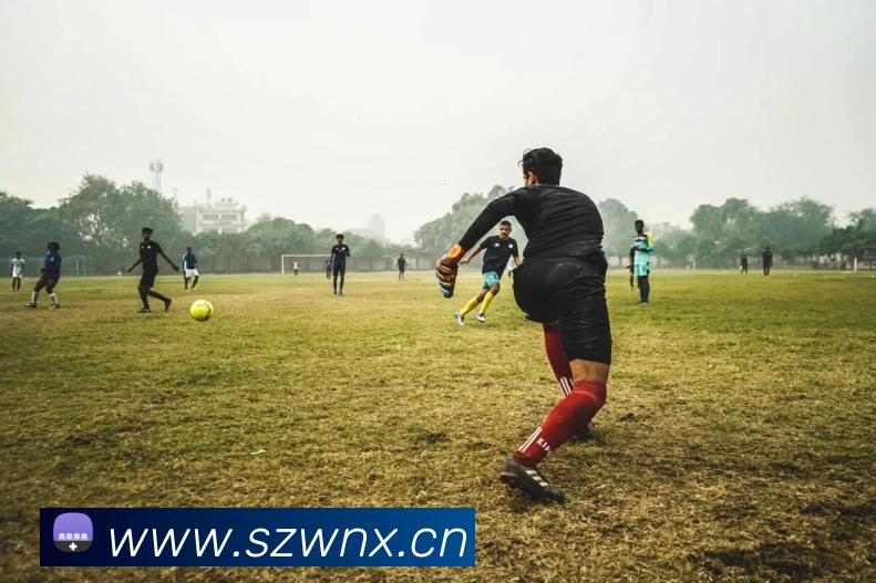 多媒体互动体验